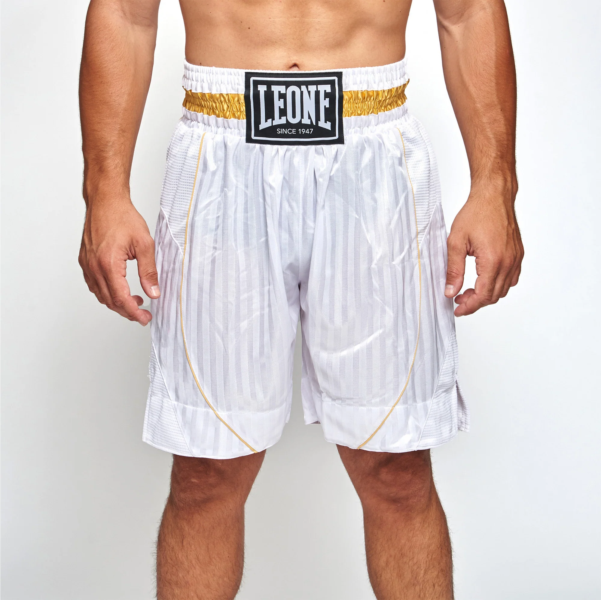 Shorts de boxe Leone Premium AB240 – Image 8