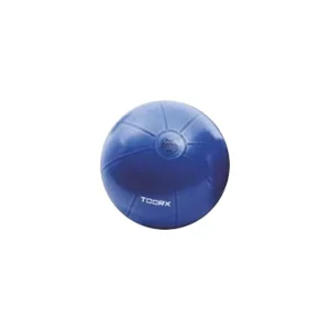Gym Ball Pro Toorx AHF-147 ø55 cm