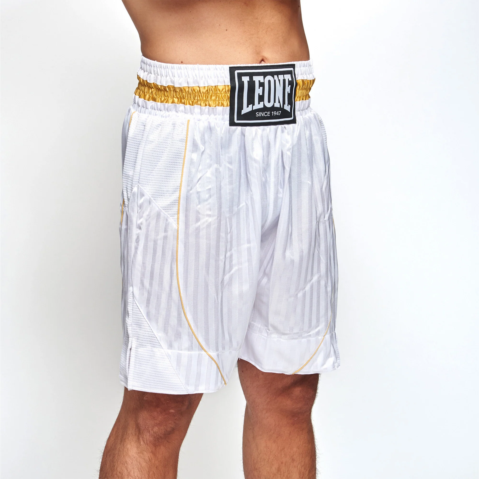 Shorts de boxe Leone Premium AB240 – Image 9